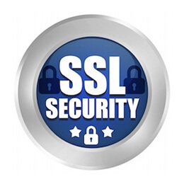 Sichere SSL verschlüsselte Datenübertragung
